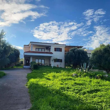 Georgia Agios Vasilios (Peloponnese)